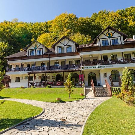 Pensiunea Ciprian Curtea de Argeş Extérieur photo