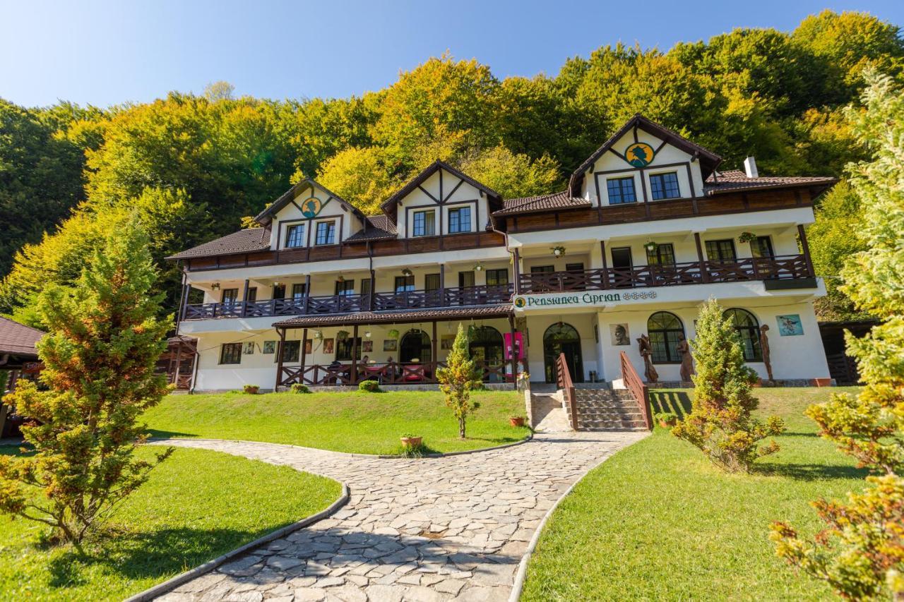 Pensiunea Ciprian Curtea de Argeş Extérieur photo