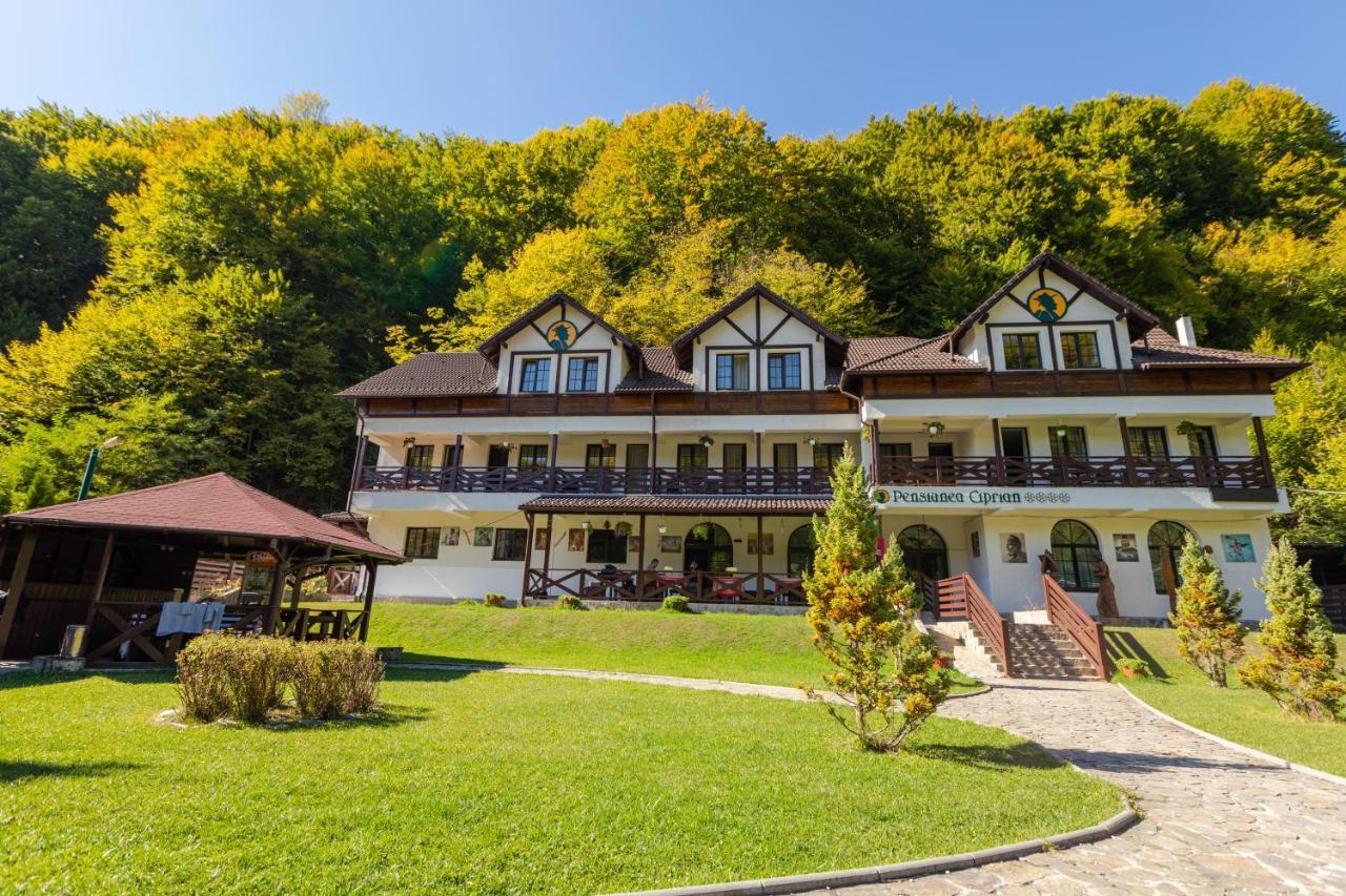 Pensiunea Ciprian Curtea de Argeş Extérieur photo