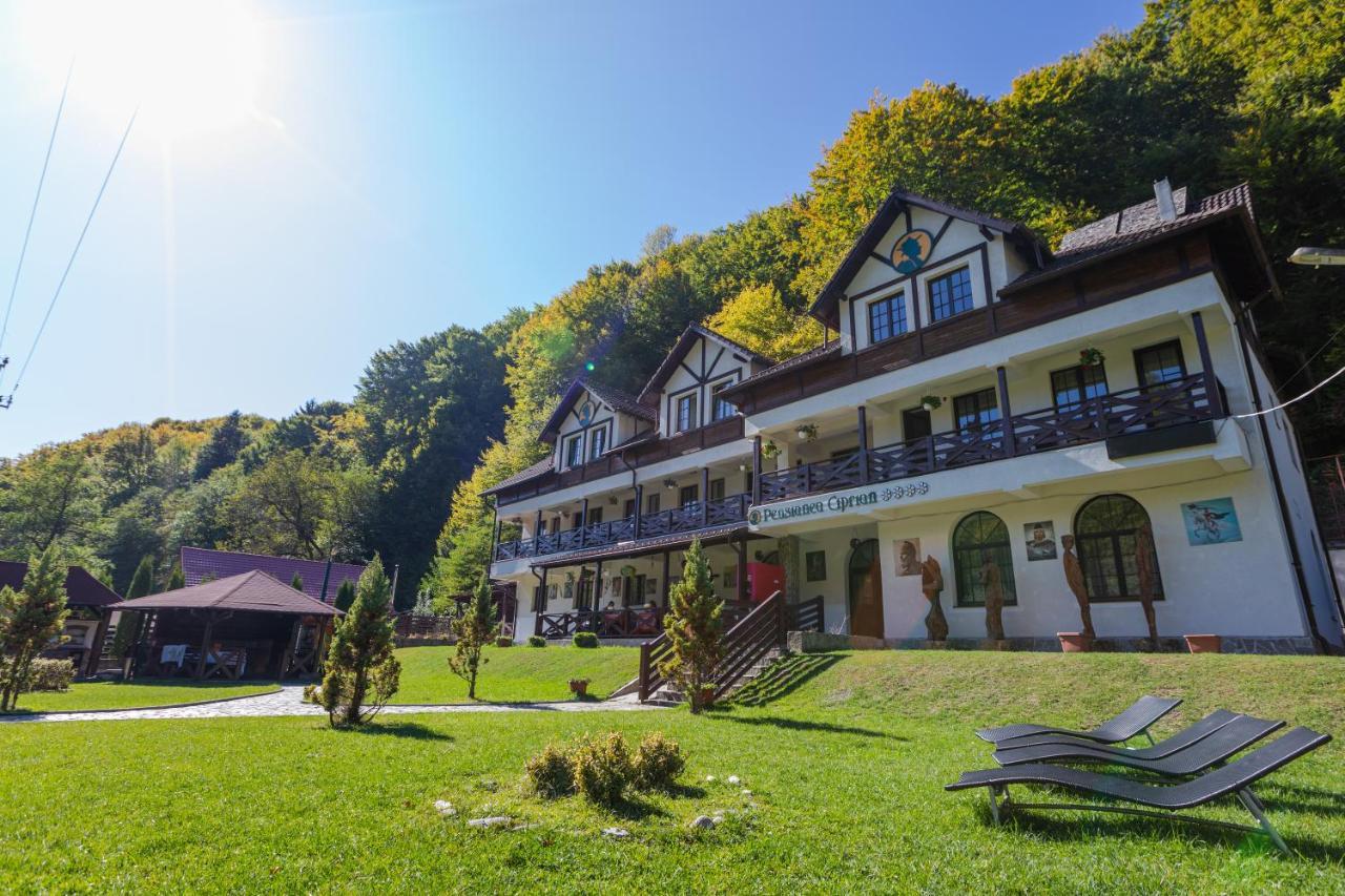 Pensiunea Ciprian Curtea de Argeş Extérieur photo