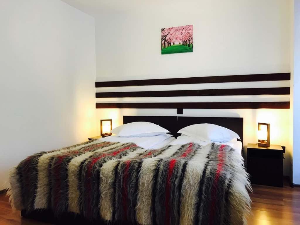 Pensiunea Ciprian Curtea de Argeş Extérieur photo