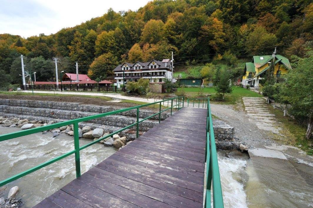 Pensiunea Ciprian Curtea de Argeş Extérieur photo
